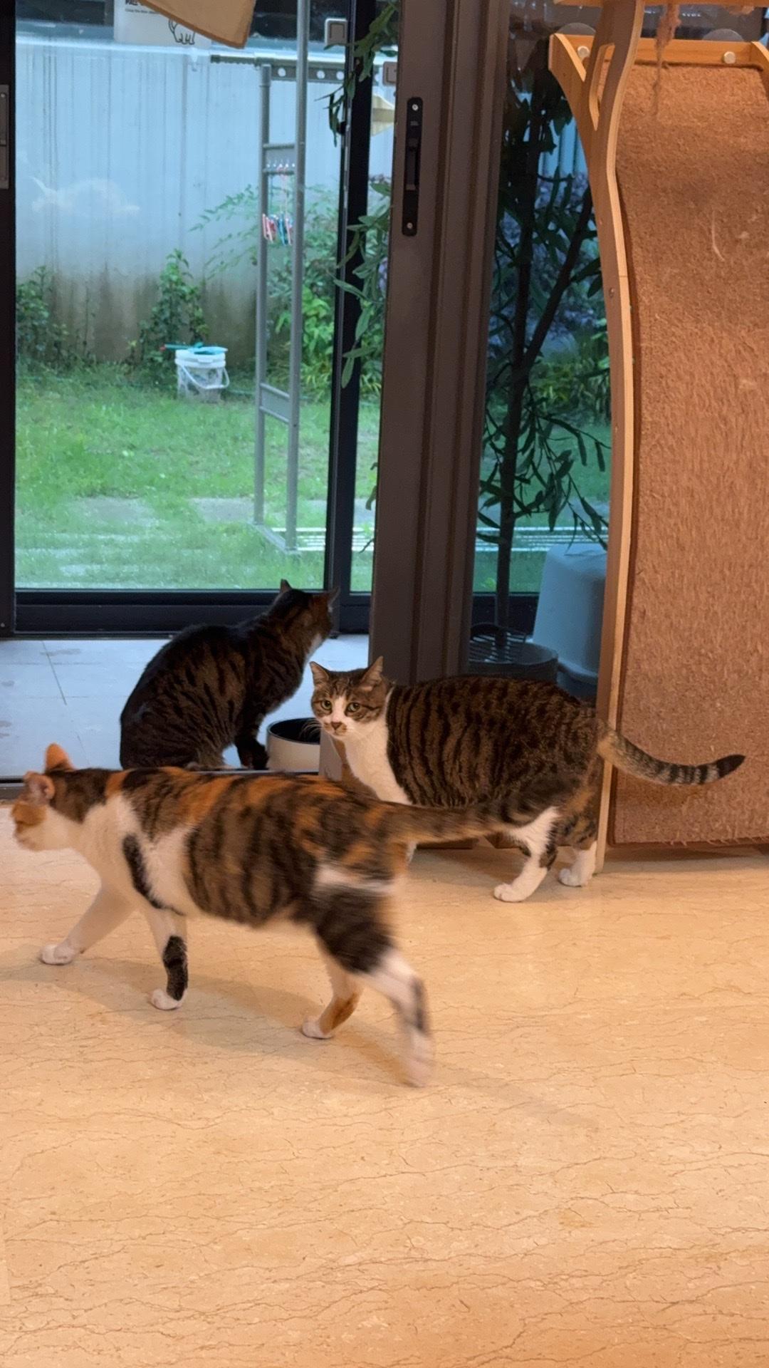 果然都是混社会的，很团结！