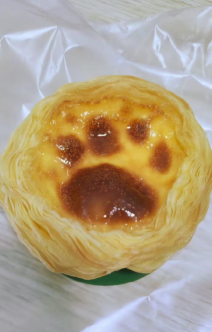 这其实是小猫烤的蛋挞吧 ​​​