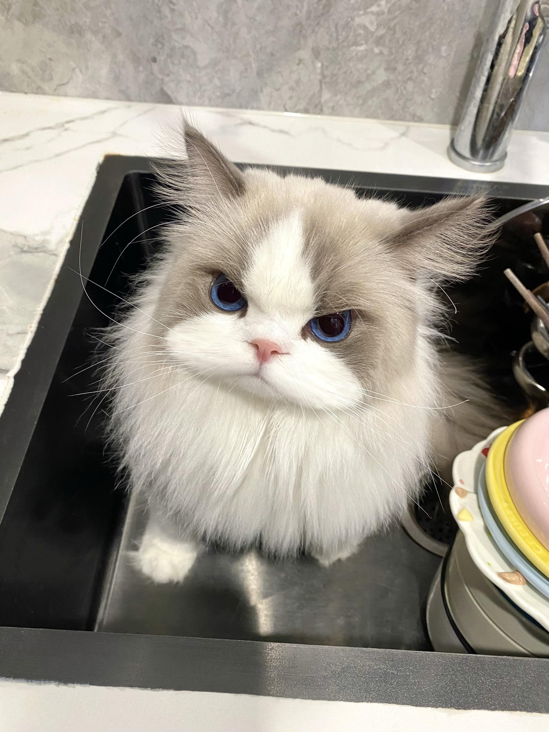 洗碗水弄到他身上 气的直接站碗里。生气归生气 还是知道给麻麻送厕纸 ?...