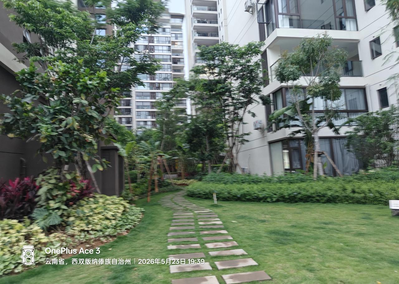 今天才知道，西双版纳邻居哈尔滨老乡老黄，他上个月通过熟人在勐海县雇了一个女保姆出