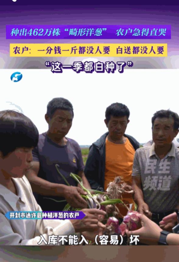 真是丧尽天良！6月6日河南广播电视台民生频道报道，河南开封，农户们本指望能有个好
