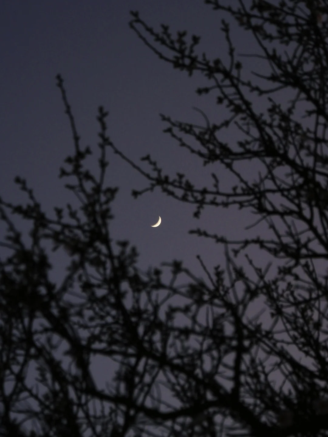 可以交换一张你拍到的🌙吗？