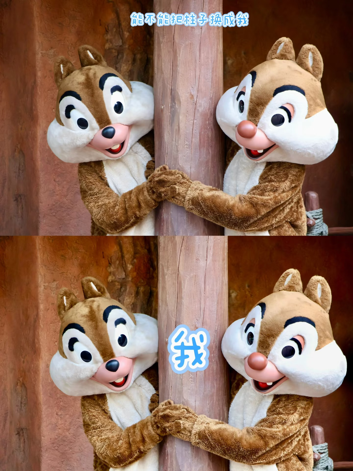 ❤️奇奇蒂蒂小可爱❤️