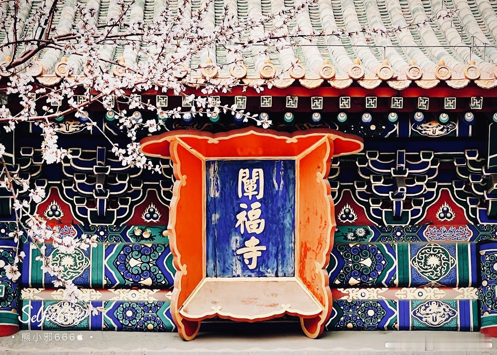 北海不是海但人山人海🙃北京你好摄影​​​