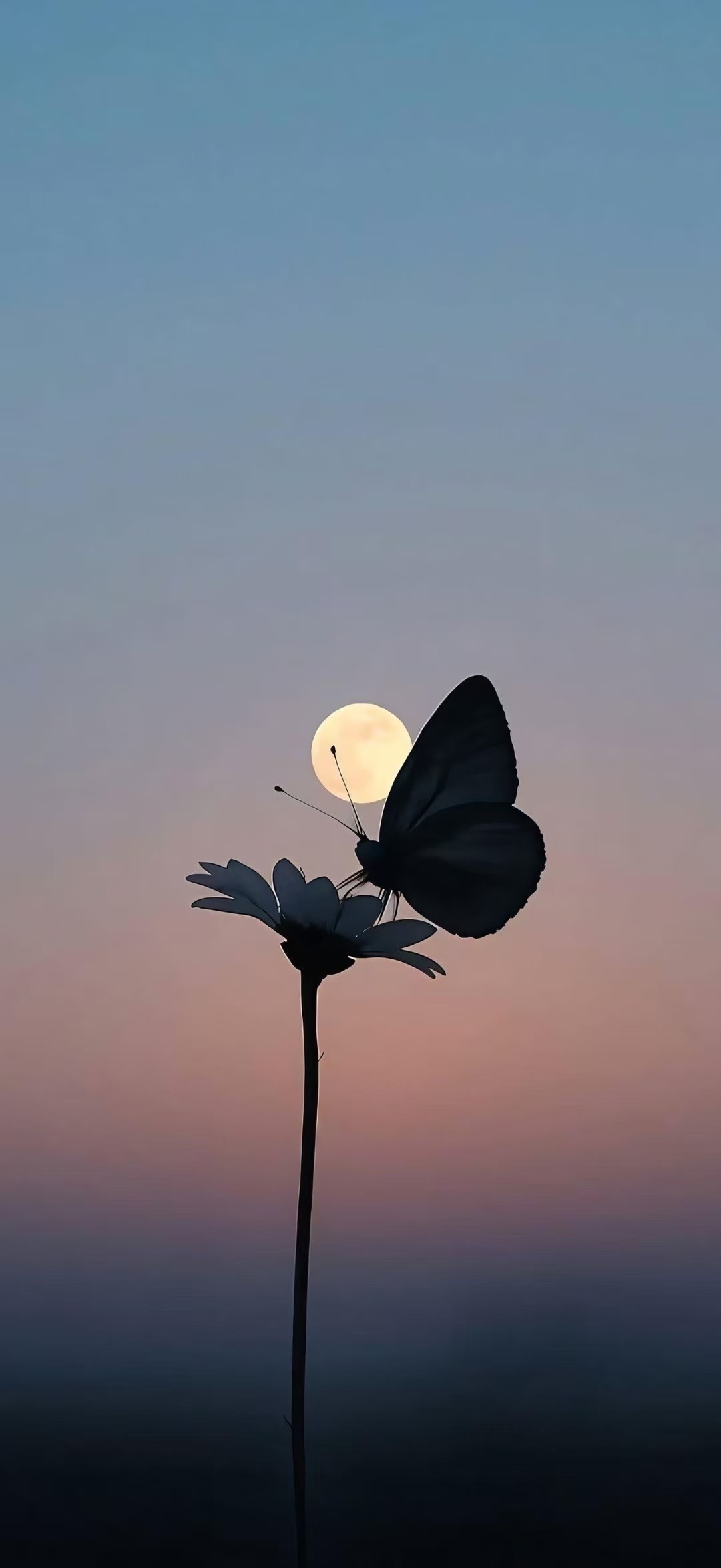 To理想的小伙伴：鲜花盛开，蝴蝶自来。 ​​​