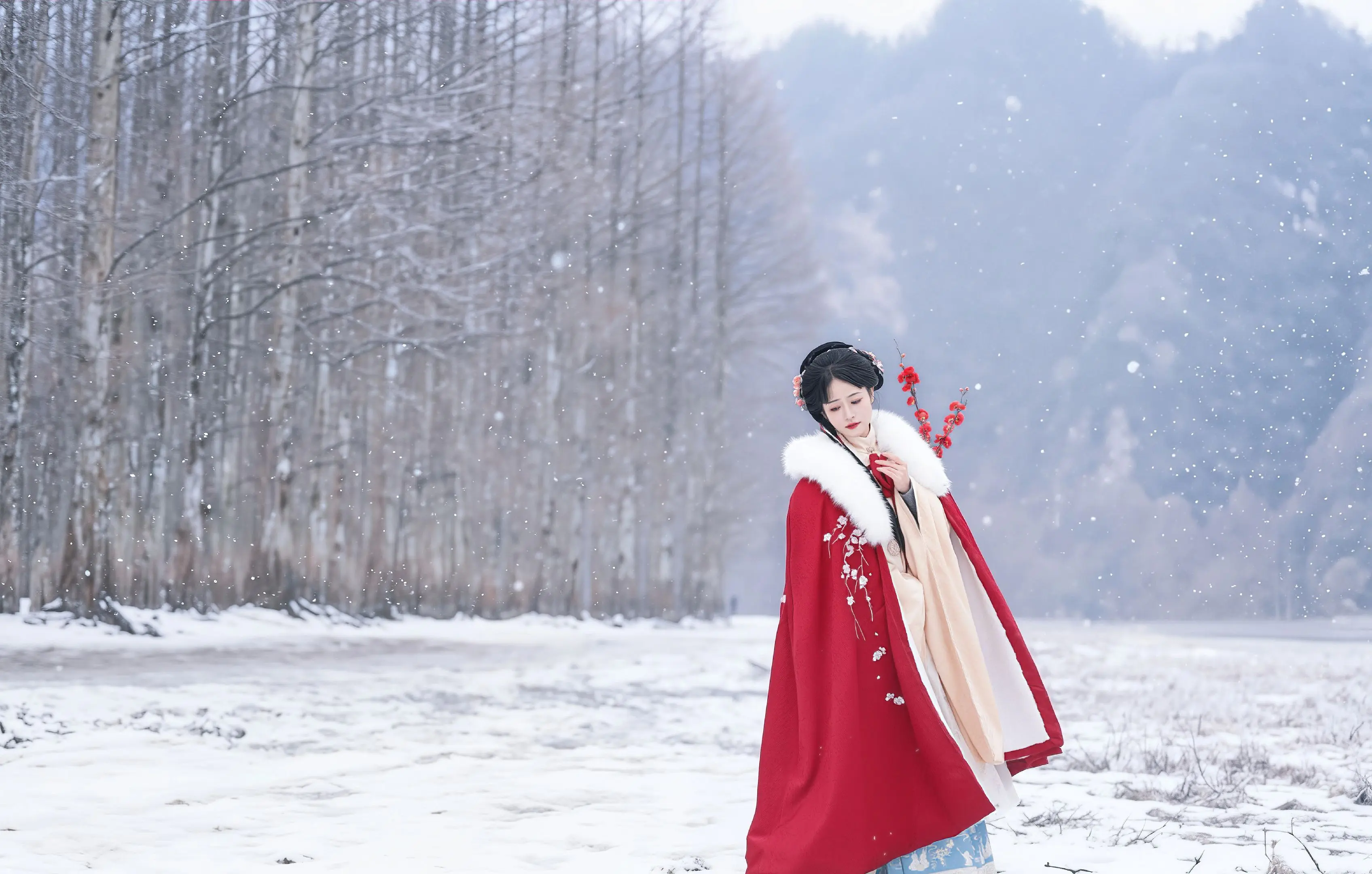 来汉中只为这一张雪景照。