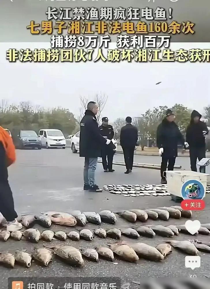 湘江禁渔期电鱼案：8万斤鱼被捞，生态之痛谁来买单？

7个人开着改装铁壳船，夜里