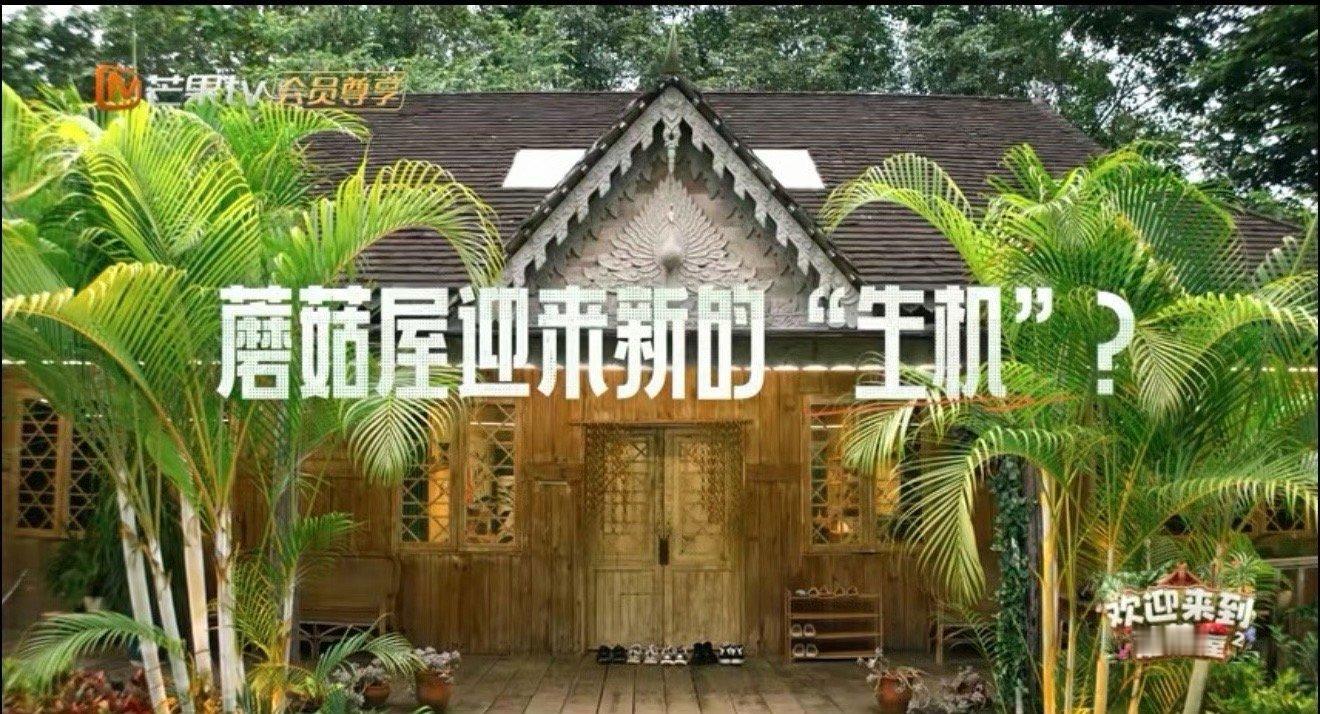 我的爱人复活了 看着熟悉的互动，眼泪差点夺眶而出。你们是我青春的代名词，这次齐聚