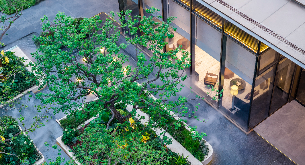 “沪七条”落地后，火遍上海南的竟是TA！