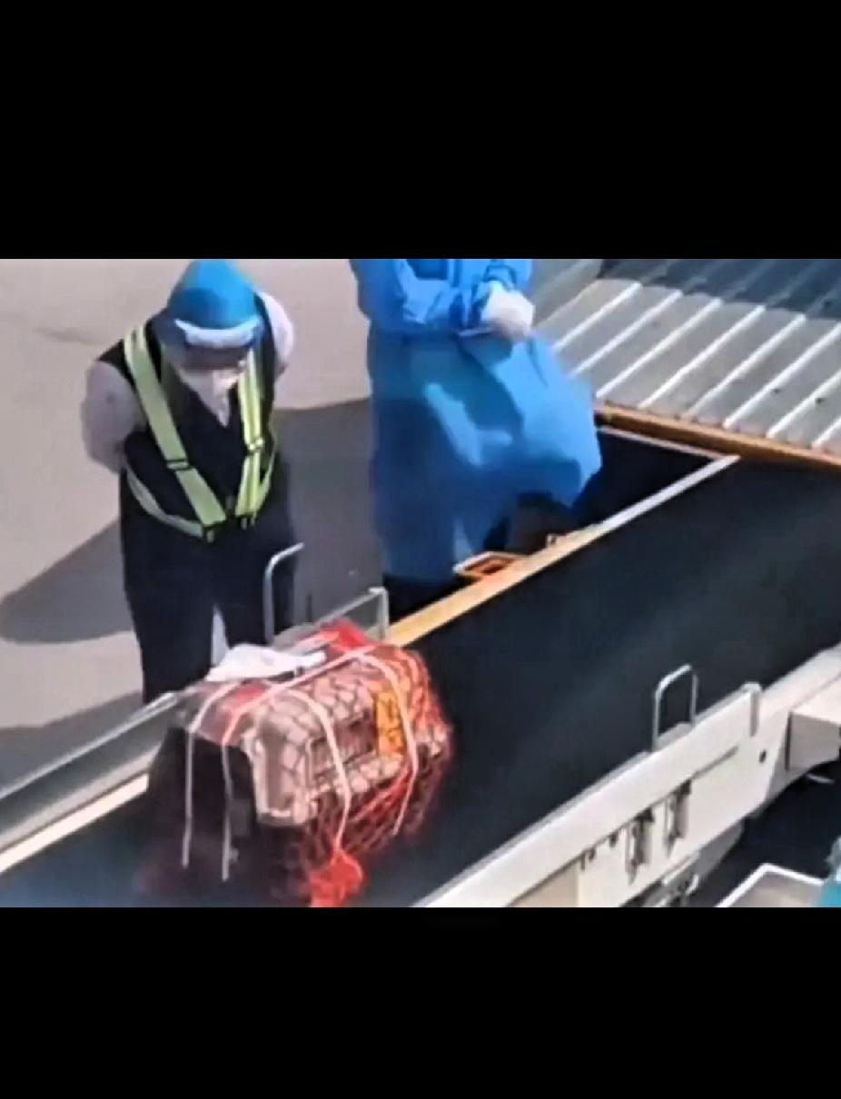 以为是救助！原来是流放！
托运站点碰到两只没人认领的猫猫，一查信息，这两只猫猫是