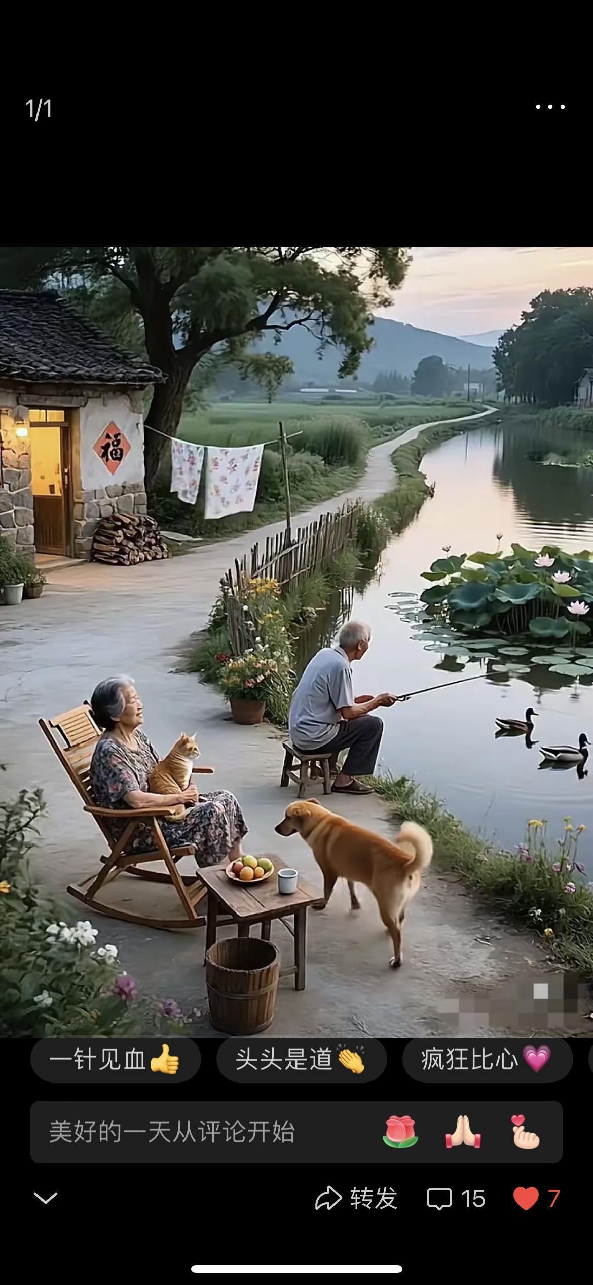 岁月催白发，
年轮现树龄。
横批：《岁月与年轮》