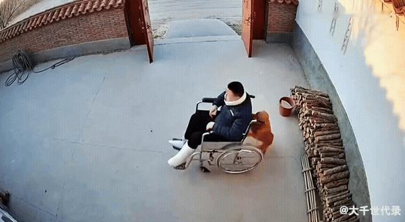 这狗是真的狗！