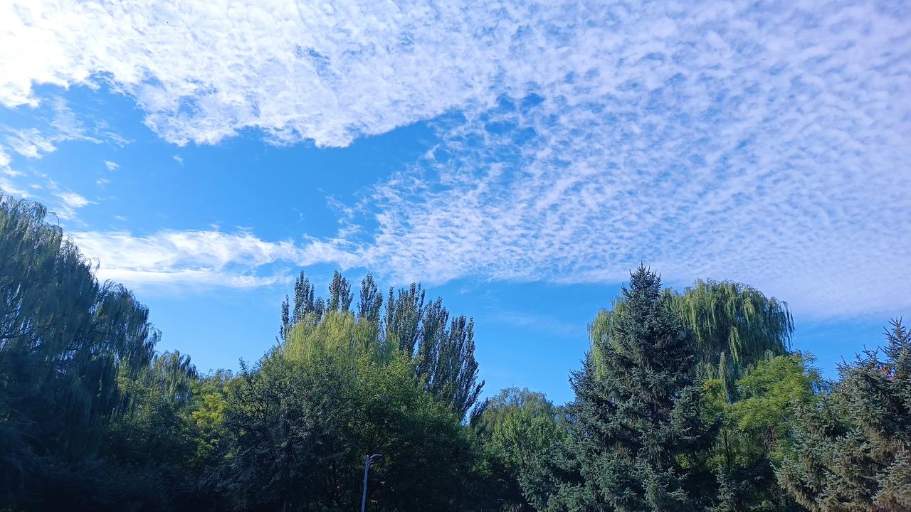 妙哉！尾数是5的自然数的平方，你能张口就给出答案吗？我能。请看：
5×5=25