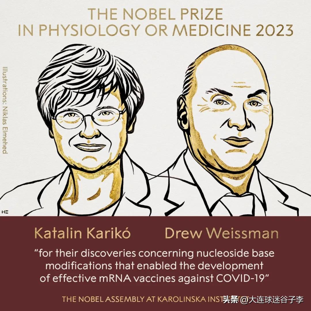 开发出有效的抗新冠mRNA疫苗的美国科学家卡塔林·卡里科（Katalin Kar