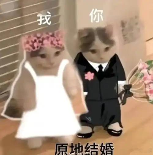 坚持不结婚的人最适合结婚这样吗？感觉单纯是一个人太爽了也比较清醒而已哈哈哈大家觉