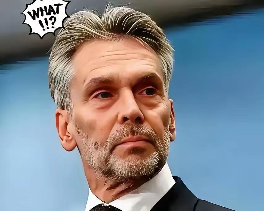 338个亿买来的东西，合同签得清清楚楚，钱货两清。

然后呢？人家当地法庭说，东