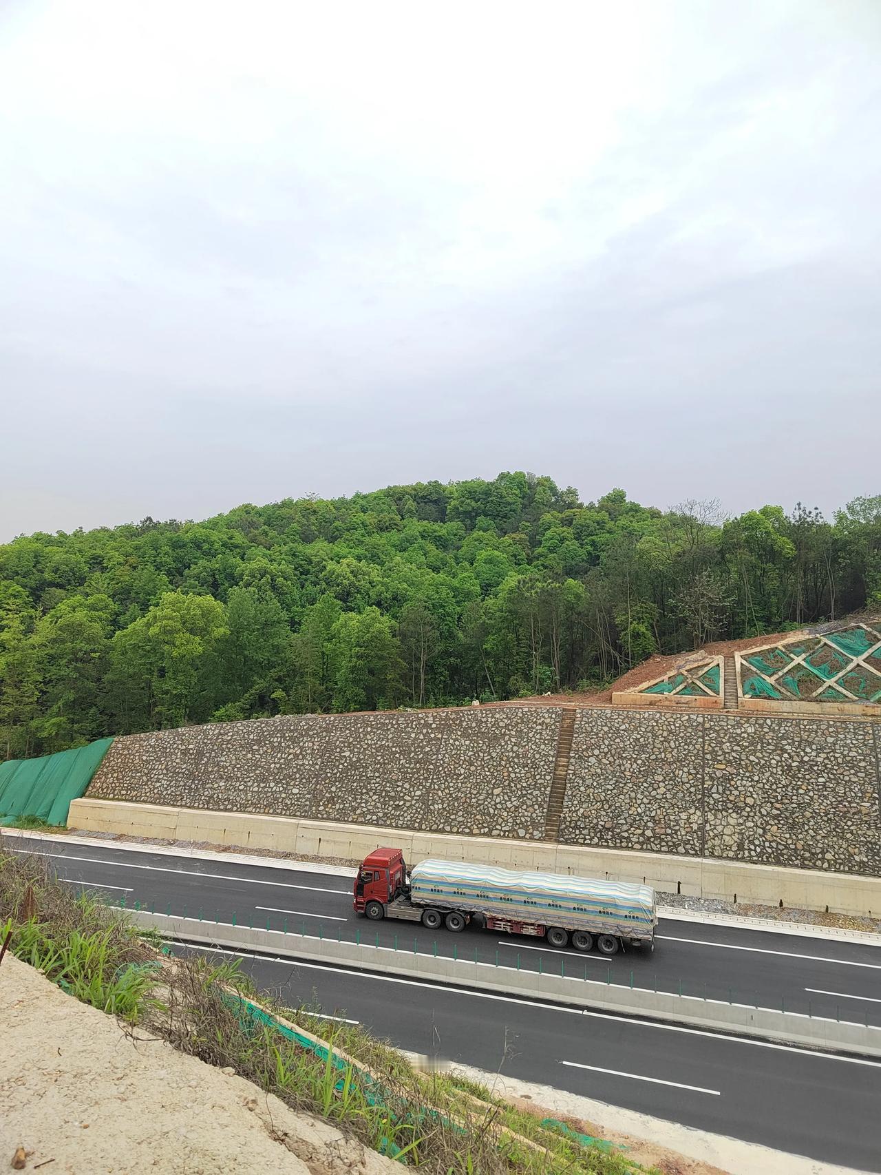 来高安新320国道旁看映山红，但花儿已化作绿叶

上次骑车自西向东经过石脑青山岭