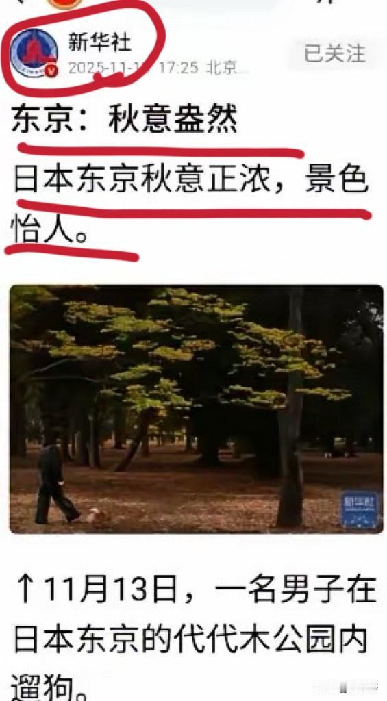 秋天来了，日本凉了！