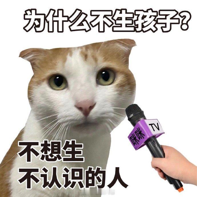 聊天必备表情包第495弹已读乱回表情包 ​​​（拿图吱声） ​​​
