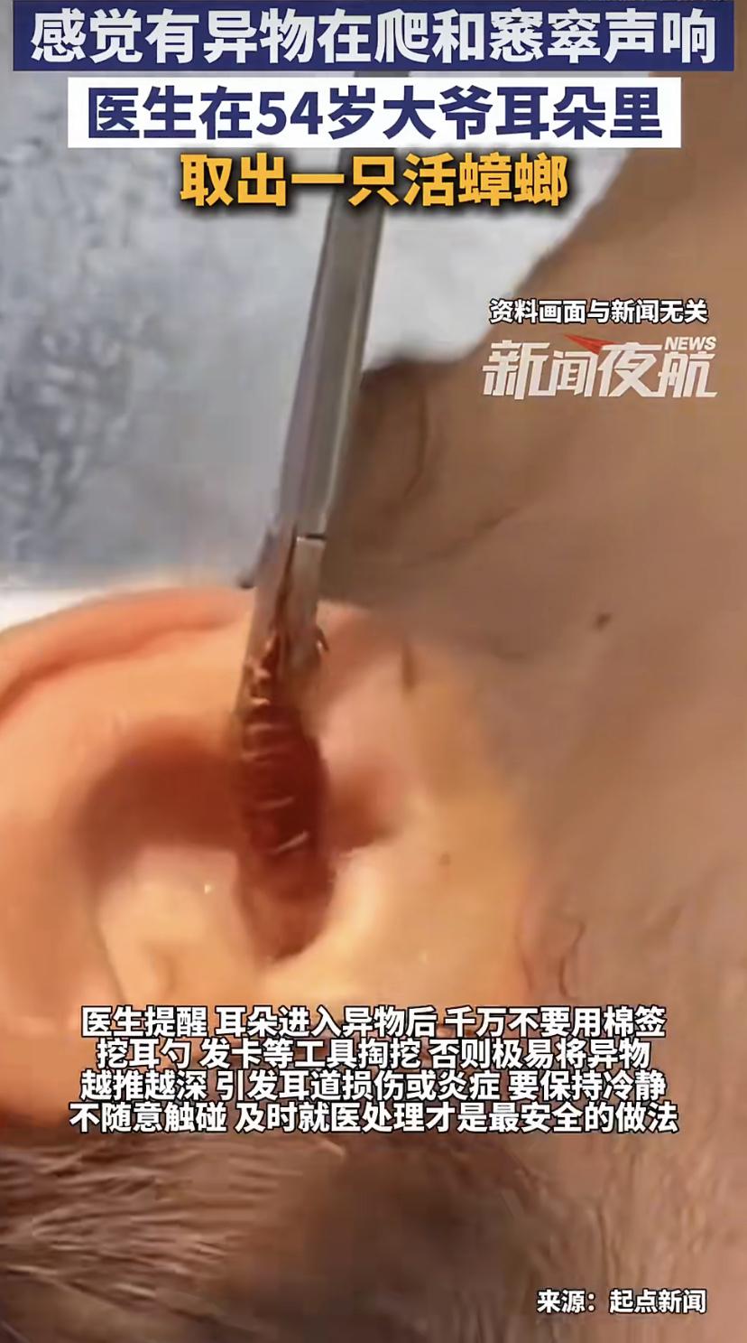 大过年的，浙江杭州54岁李大叔一家住民宿，半夜睡得正香，左耳朵里突然传来一阵尖锐