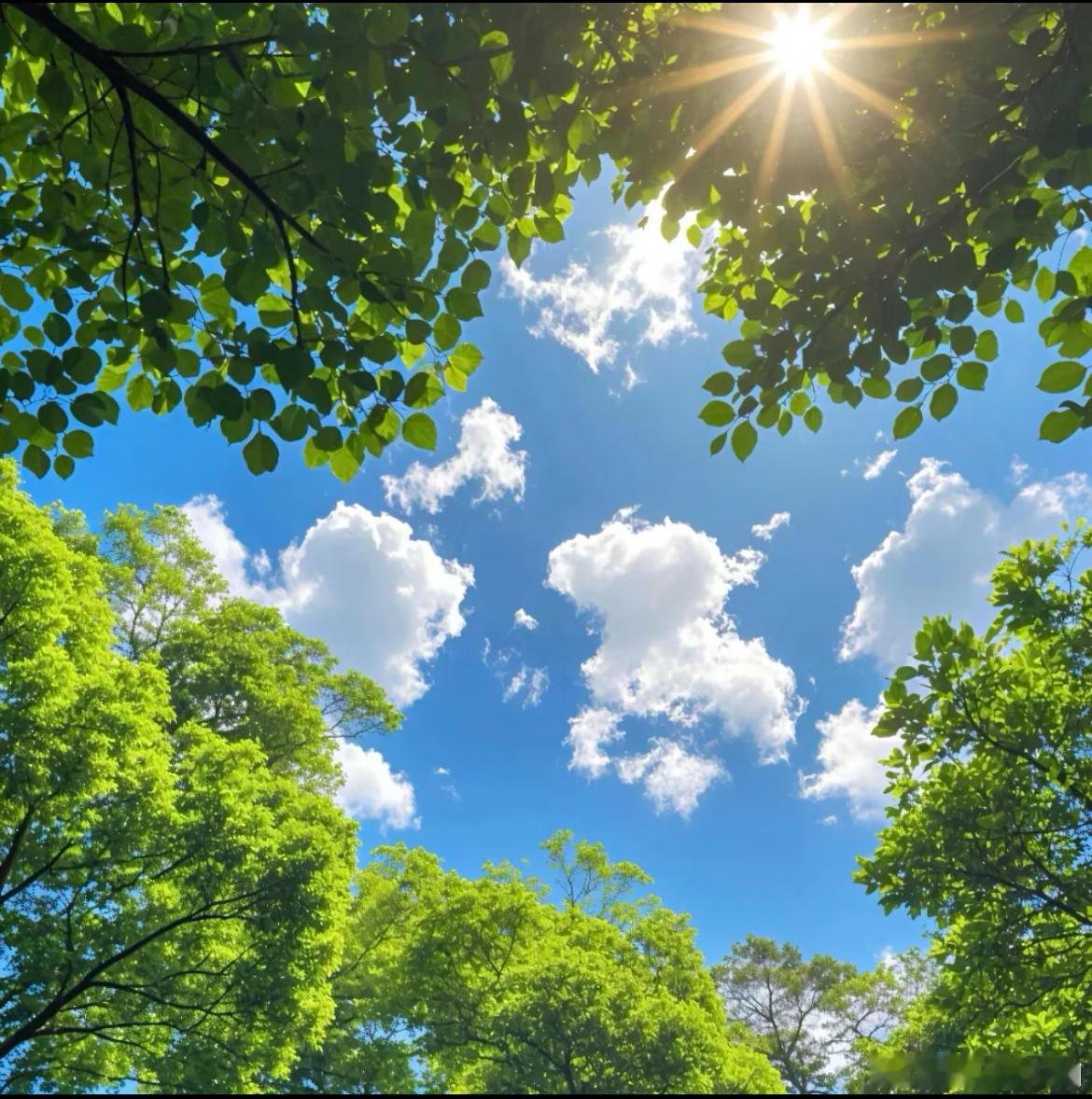 每日一善 阳光信用 善良是一种修养，善待他人就是善待自己，要想得到别人的爱，首先