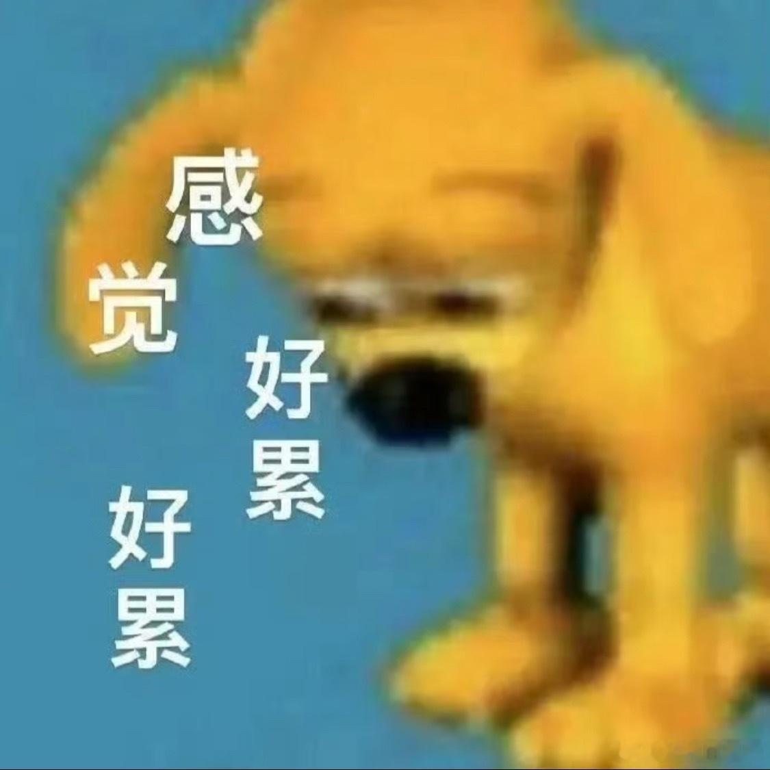 今天从醒来就浑身提不起劲，窝在沙发里还莫名出汗。是不是最近太虚了啊，反正整个人一