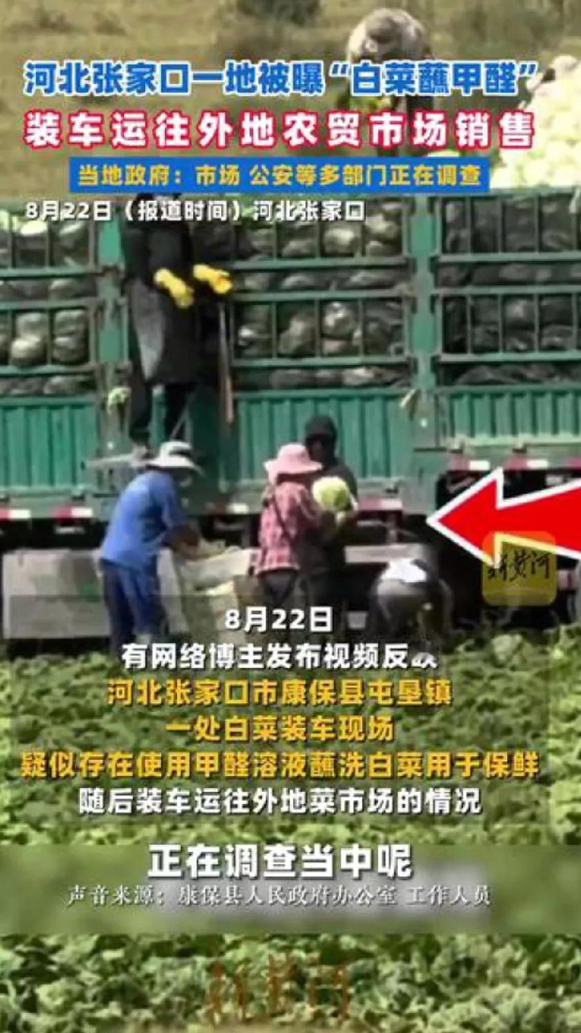 如何看待河北张家口甲醛白菜事件
 
近日，河北张家口康保县被曝光收购商为降低长途