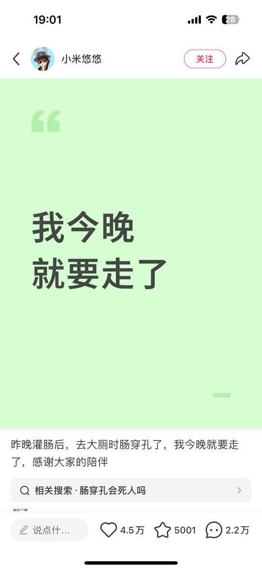 看到小米悠悠……我觉得还是躺平吧