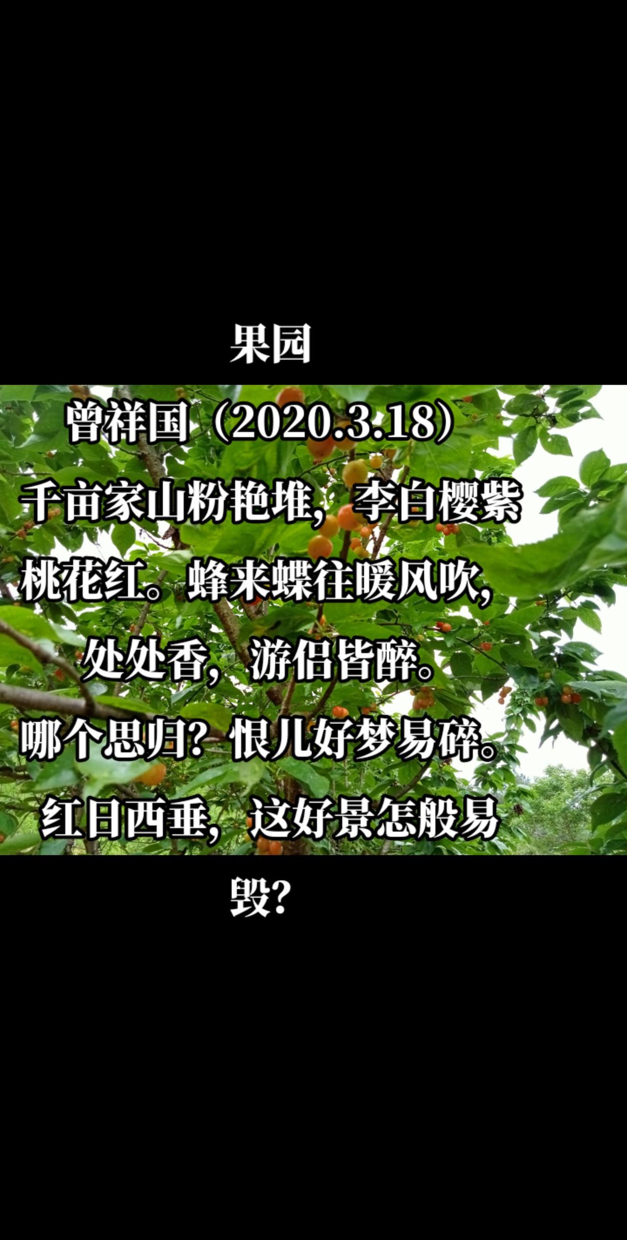 果园