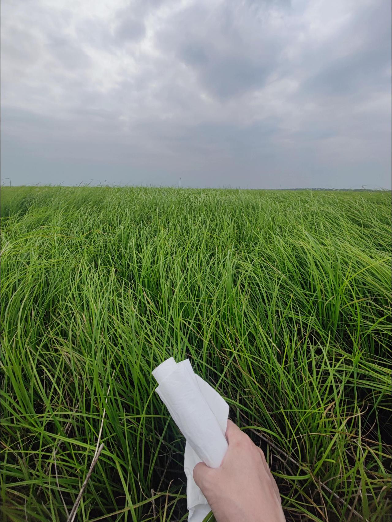 终于用上这个bgm了。鄱阳湖大草原 治愈系风景 蓼南乡 感受大自然