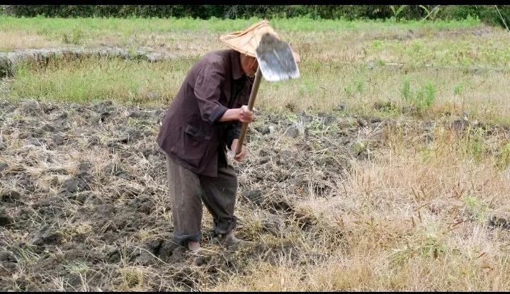 古字头上生绿草，
土里难把黄金找，
累如牛马不停干，
………请友续句………？
[