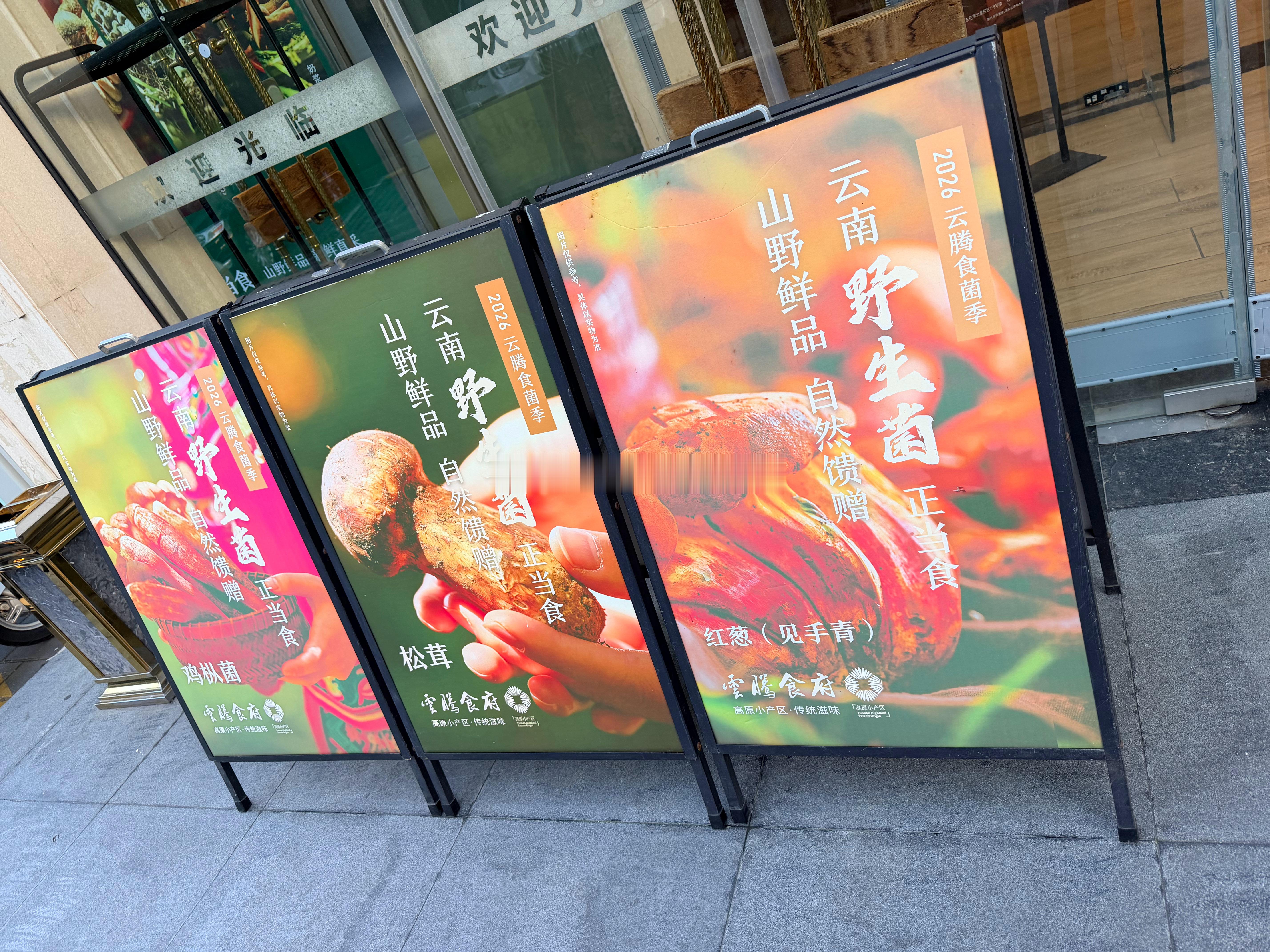 闪现老云南驻京办目前骑车去双井～ 