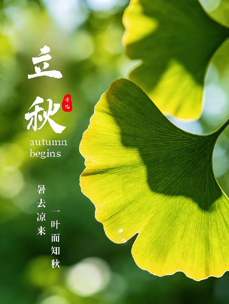 今日立秋，
“立”，有开始之意；
“秋”，意为禾谷成熟，
万物开始从繁茂成长
趋