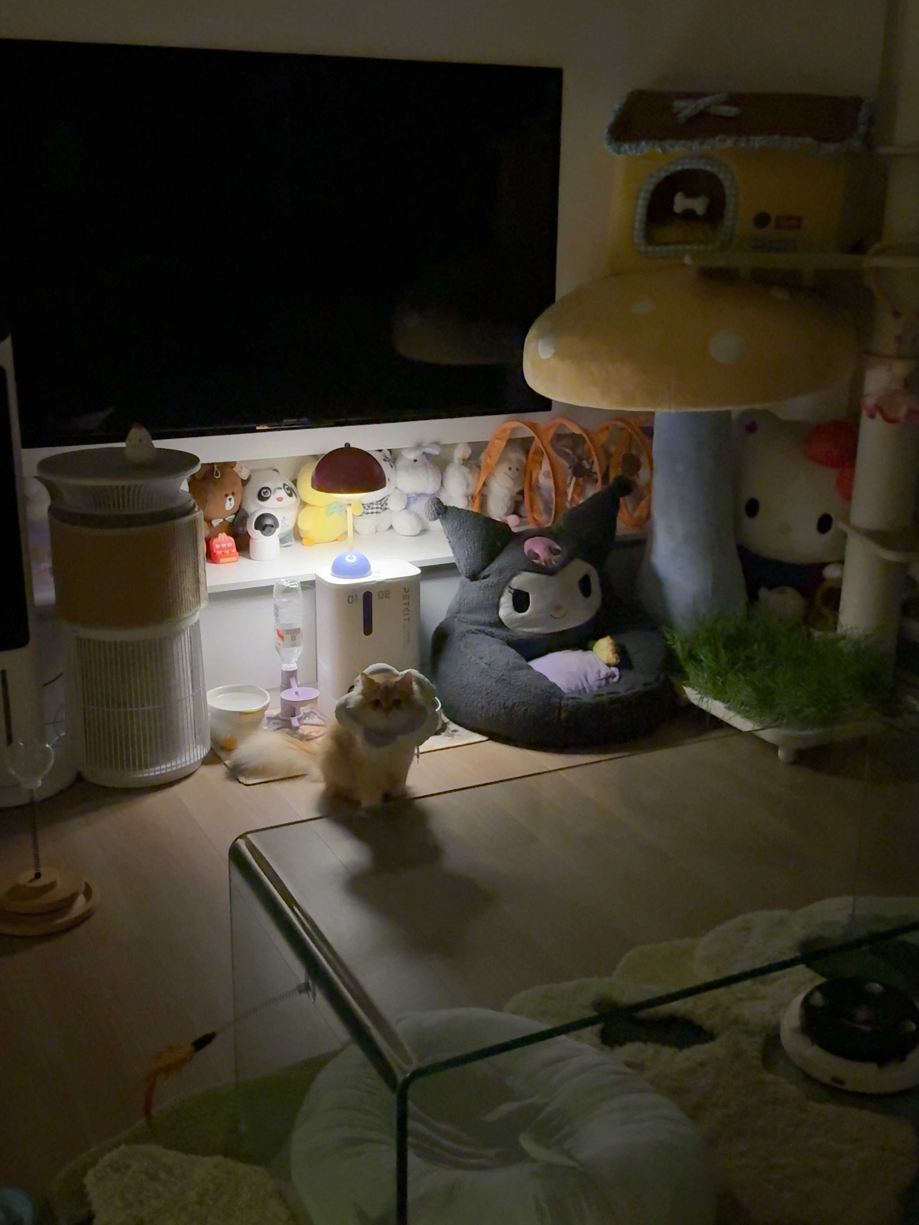 深夜食堂[爱慕] ​​​