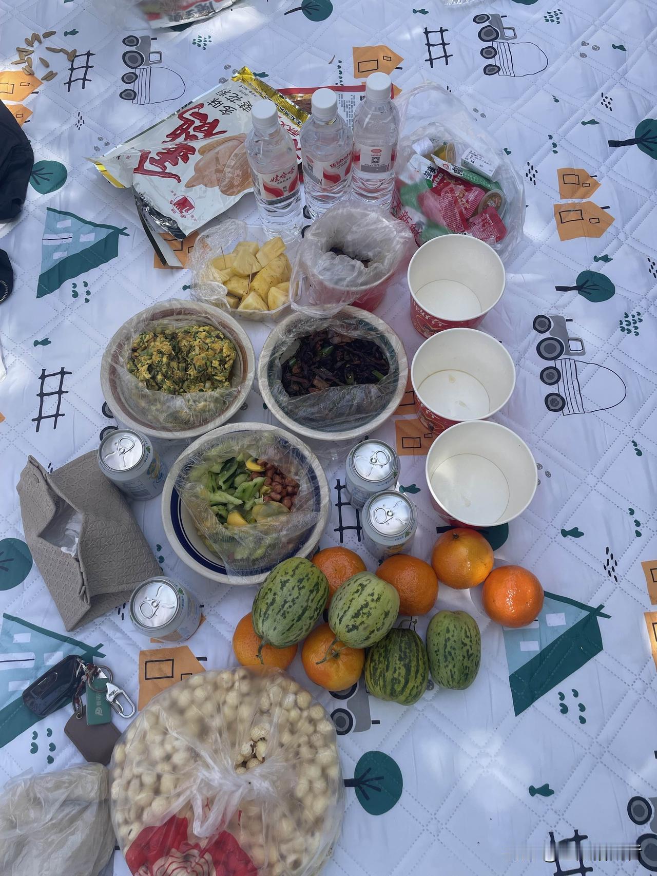 谁说野餐就得摆精致下午茶？

看看咱这接地气的配置：妈妈炒的鸡蛋、拌好的凉菜，再