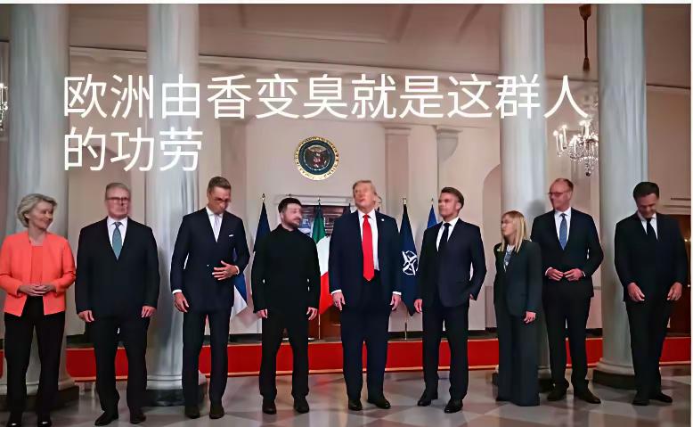 文明棍变成搅屎棍，欧洲由香变臭的根源在于现在这一批无脑的政治人物。

欧洲的泛自