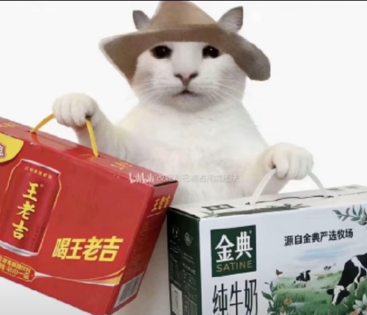 油价大跌了，美媒说霍尔木兹海峡完全开放了，这周末我提的王老吉和金典起作用了，所以