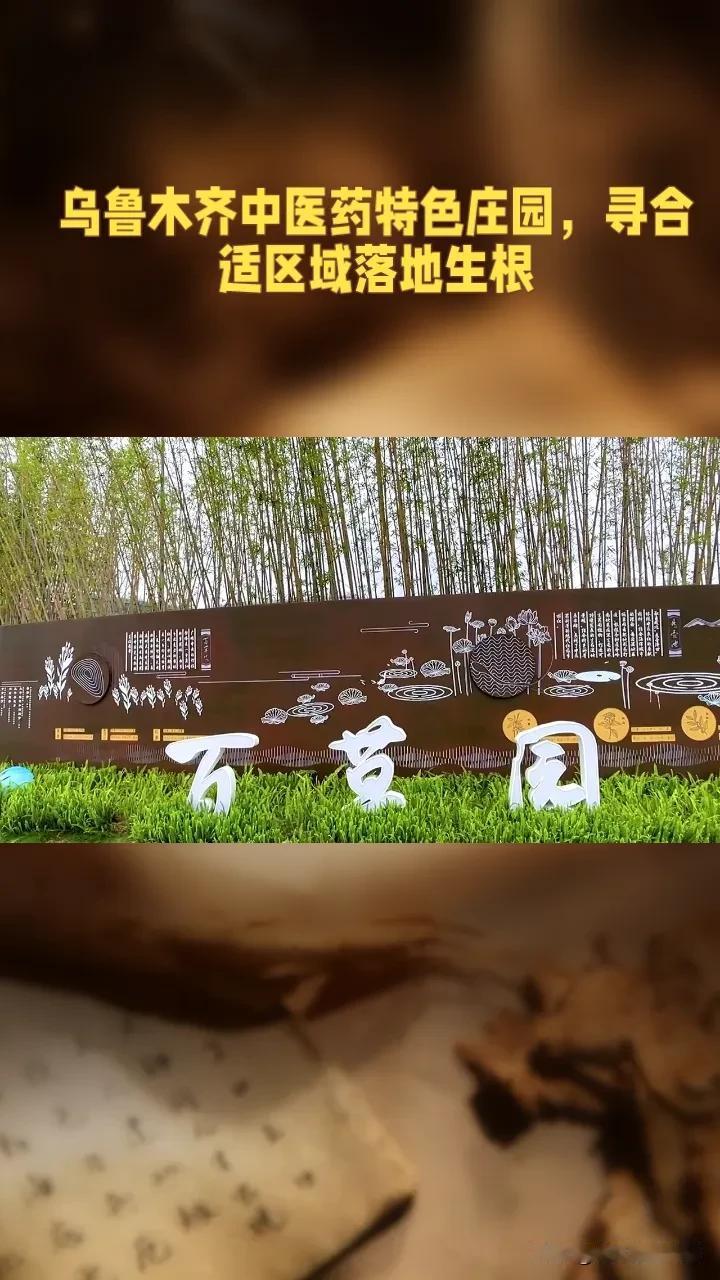 乌鲁木齐还没有一个中医药文化传承基地，如果想建个中医药特色庄园或者小院，哪个地方