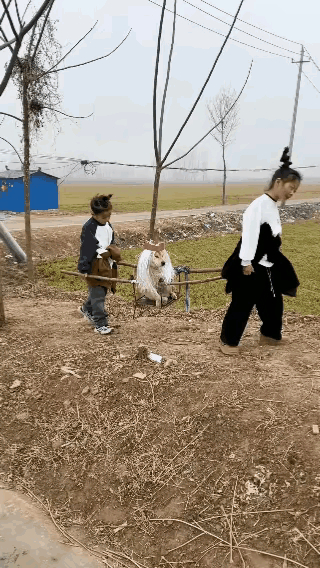 作为孩子的快乐，我们再也体会不到了