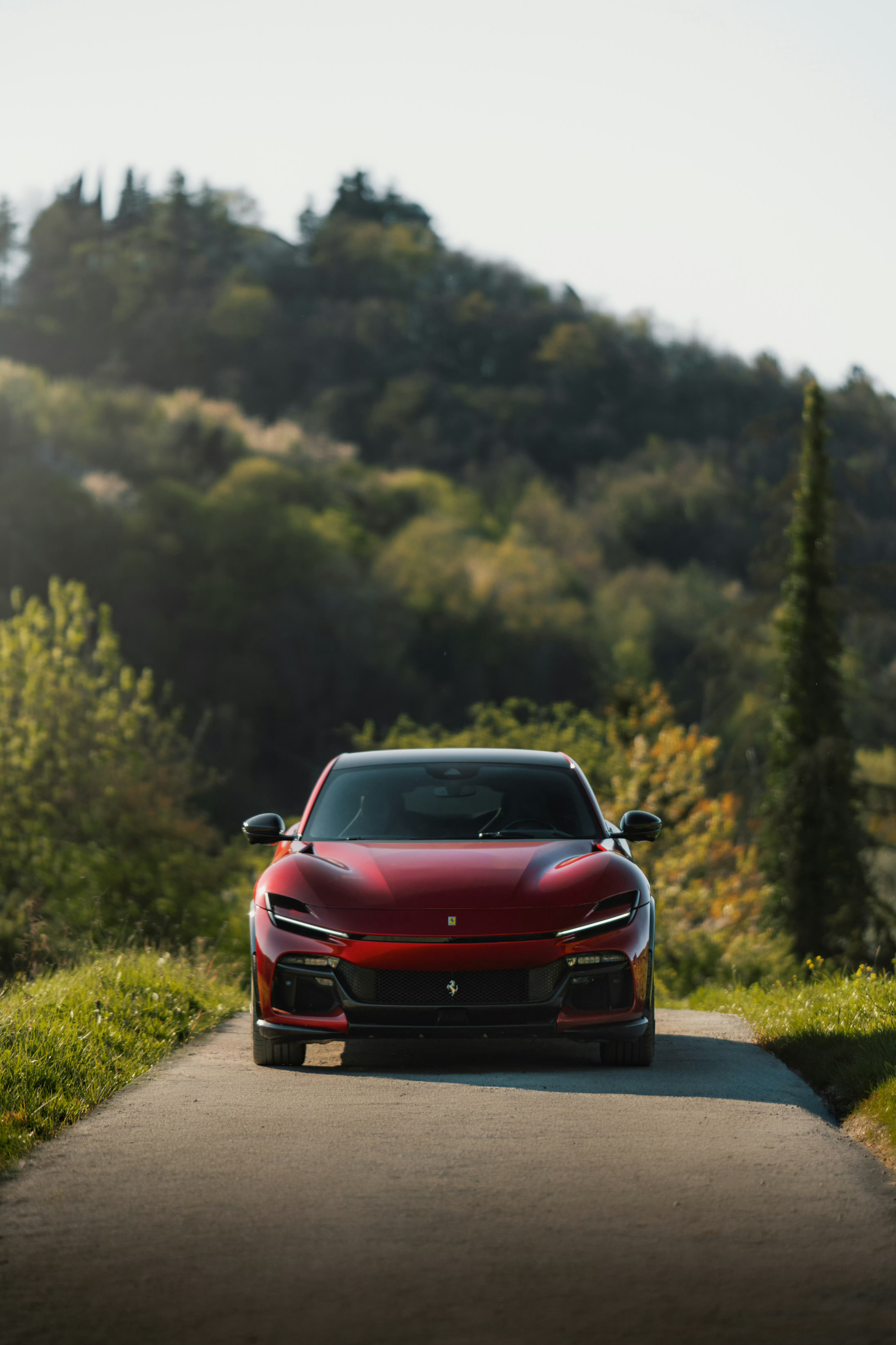 法拉利 Purosangue Handling Speciale