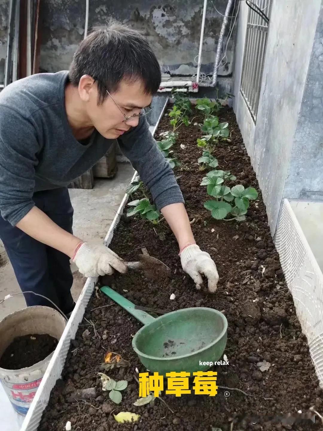 我们在楼顶养龟种菜几年了，今年3月份底开始在头条上分享我们楼顶养龟种菜的点点，从