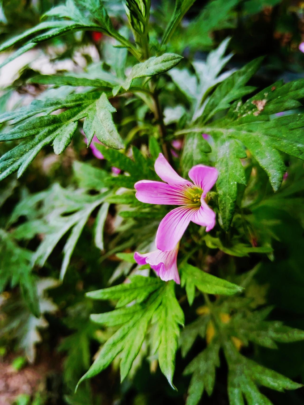 细看发现，
中年以后过得好的女人，
往往是那些能管理好身材的！
当她把焦点放在自