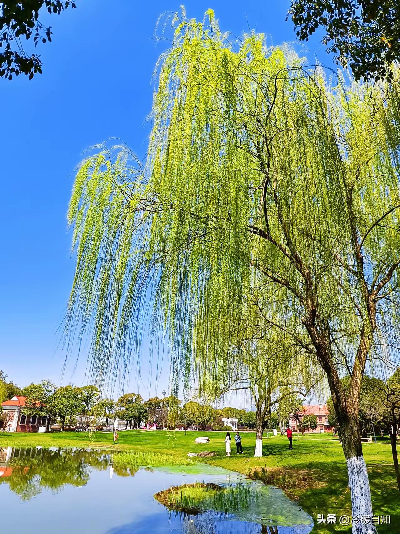 春风，你别走远
 
春风，你别走远
请停在我窗前
携一缕温柔的风
带去我藏了许久