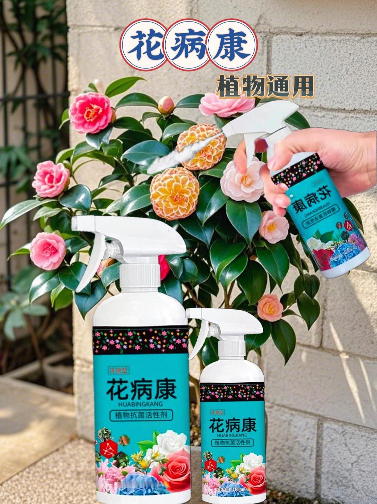 花病康。个位数5瓶。月季炭疽、黑斑、白粉等常见病害，以及花卉绿植，多肉爱长斑斑点