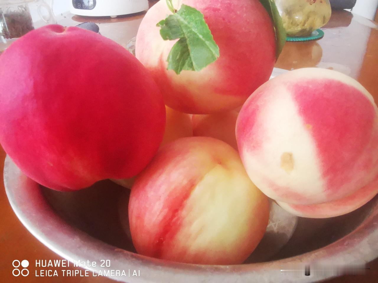 有仇不用打，劝他买骡马。
想要报复谁，劝他去种地。
想要瞎白忙，教他去种粮。
你
