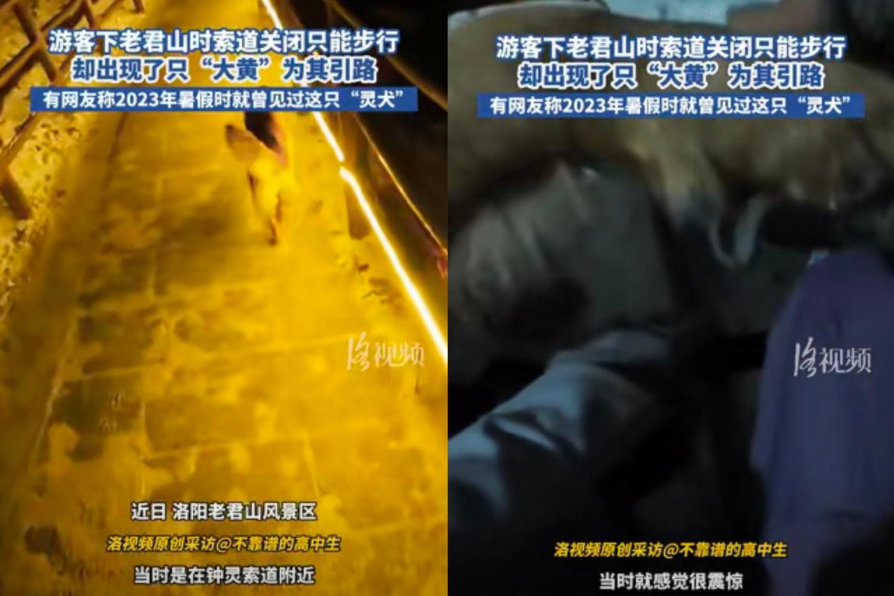 万物有灵！河南，一男子在老君山游玩，下山时，索道已经关闭，他只能摸黑徒步往山下走