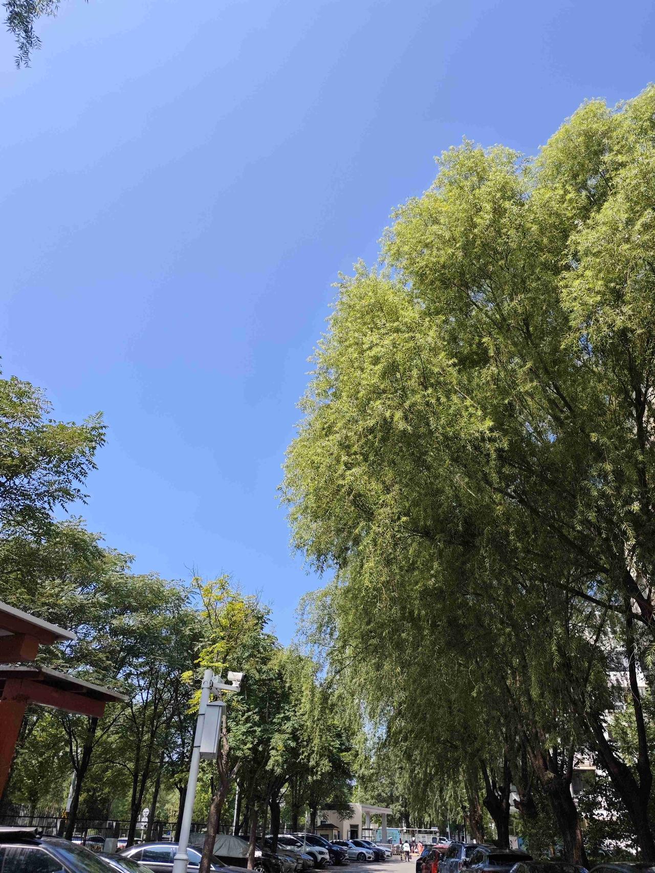 我的今日状态：😁轻松愉快
我这里的天气：🌤️多云转晴