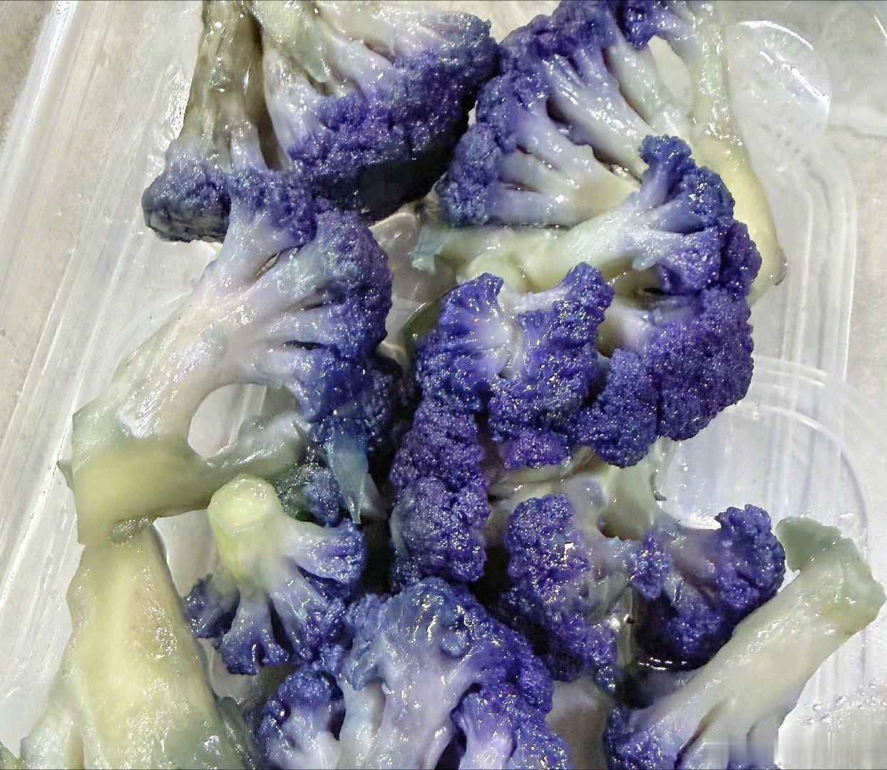 谁想吃这个紫色西兰花