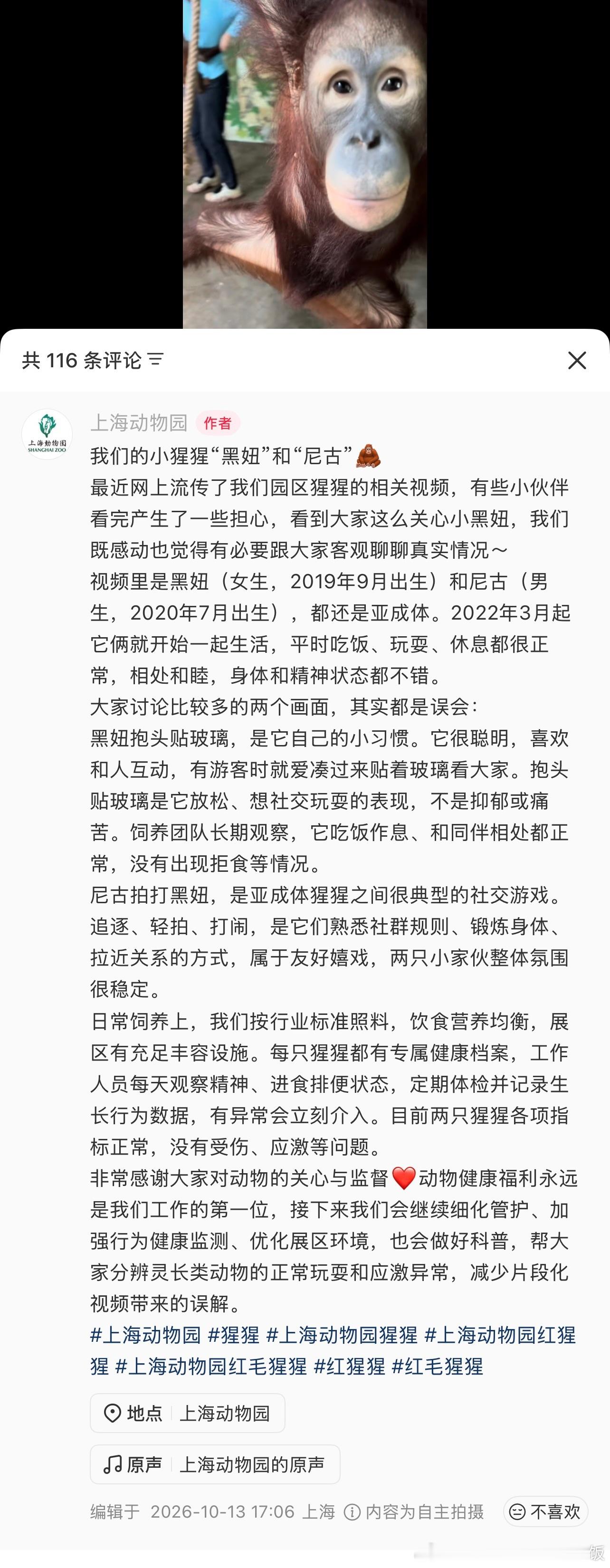 动物园小动物们的精神状态，看的人好难受生活碎碎念 / 情感热点创作激励计划 ​​