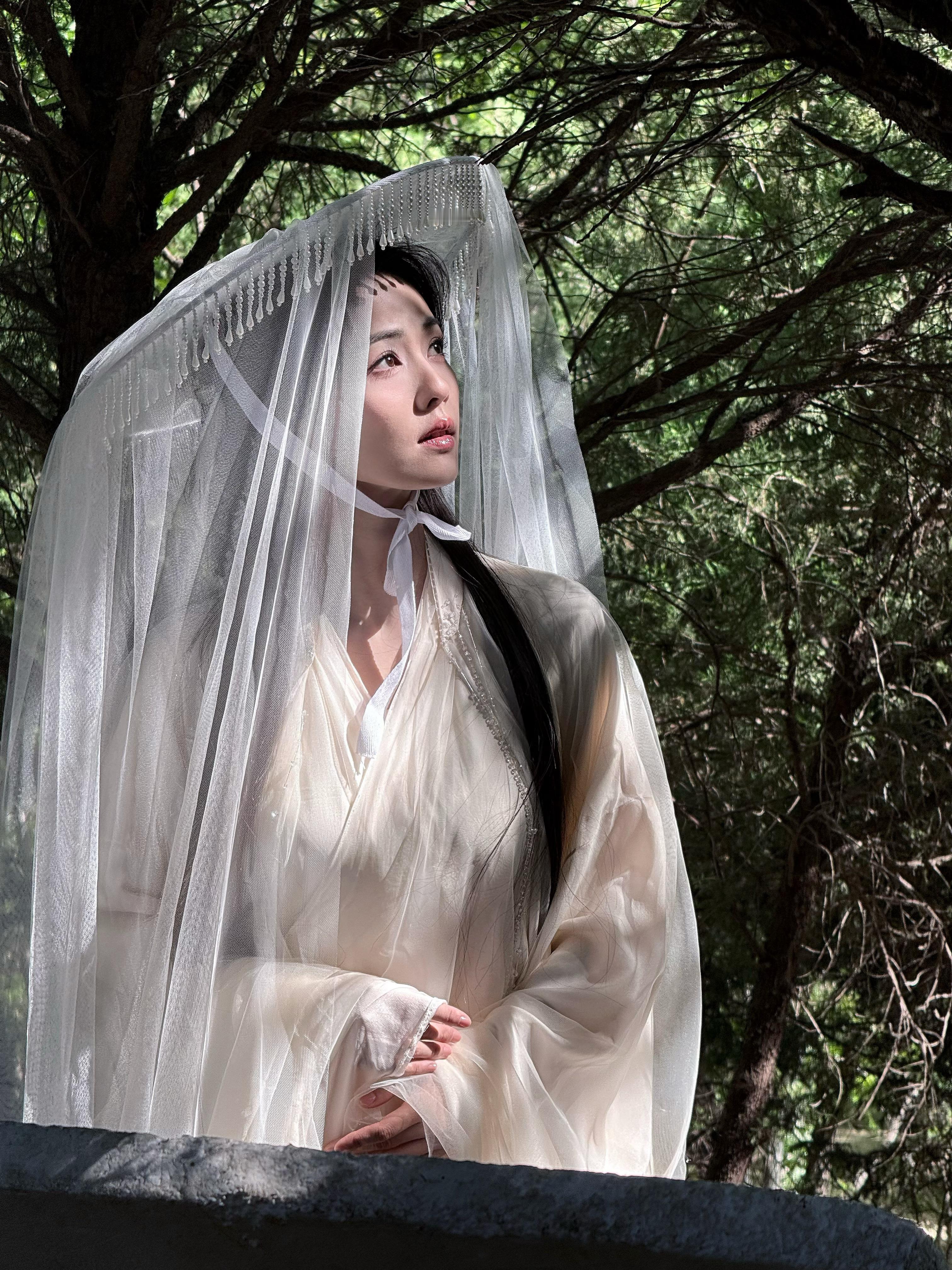 白鹿白鹿  在复制粘贴的时代，你是手写的诗